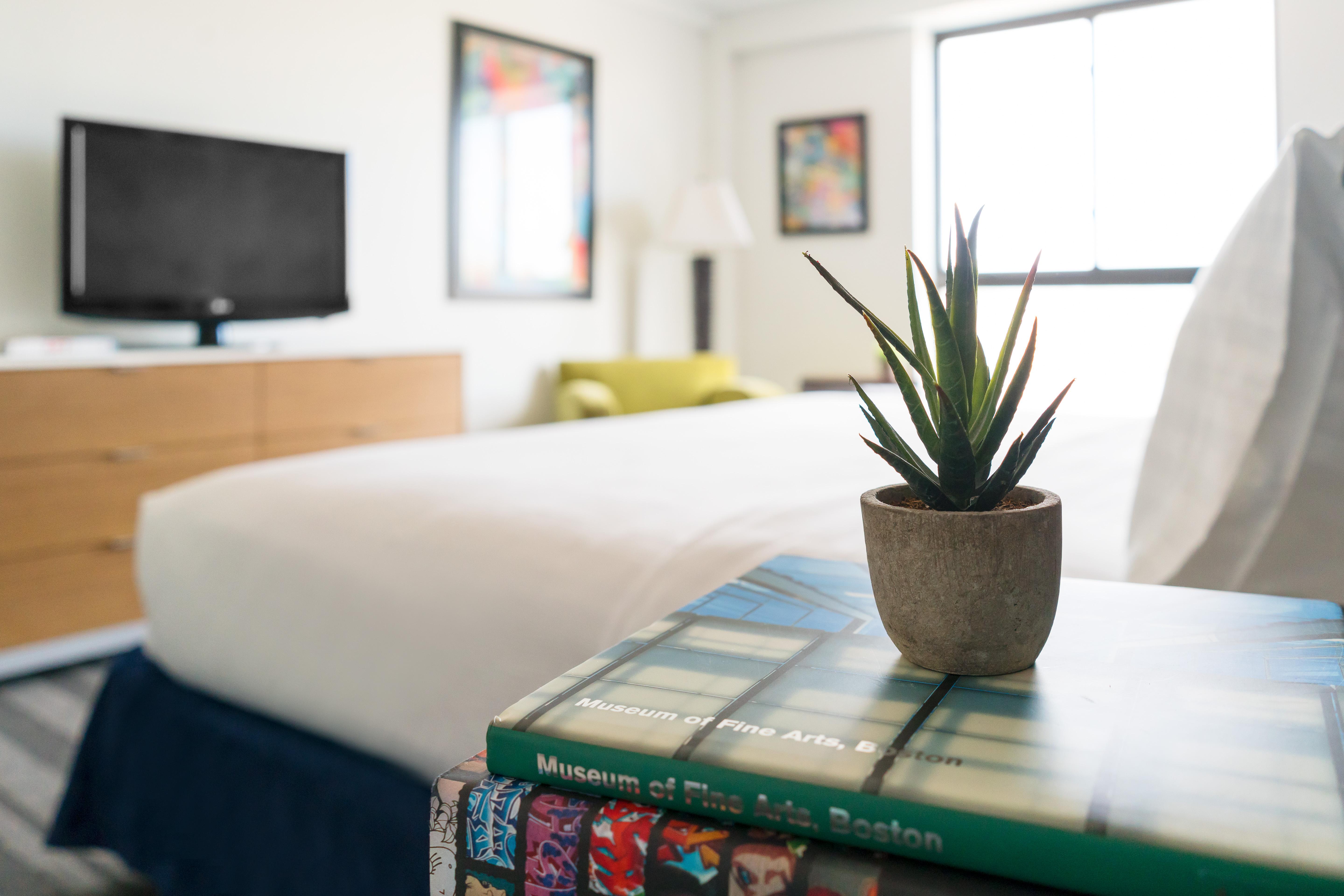 Studio Allston Hotel Boston Eksteriør bilde